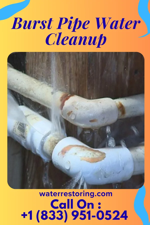 Burst Pipe Water Cleanup in South Charleston, WV