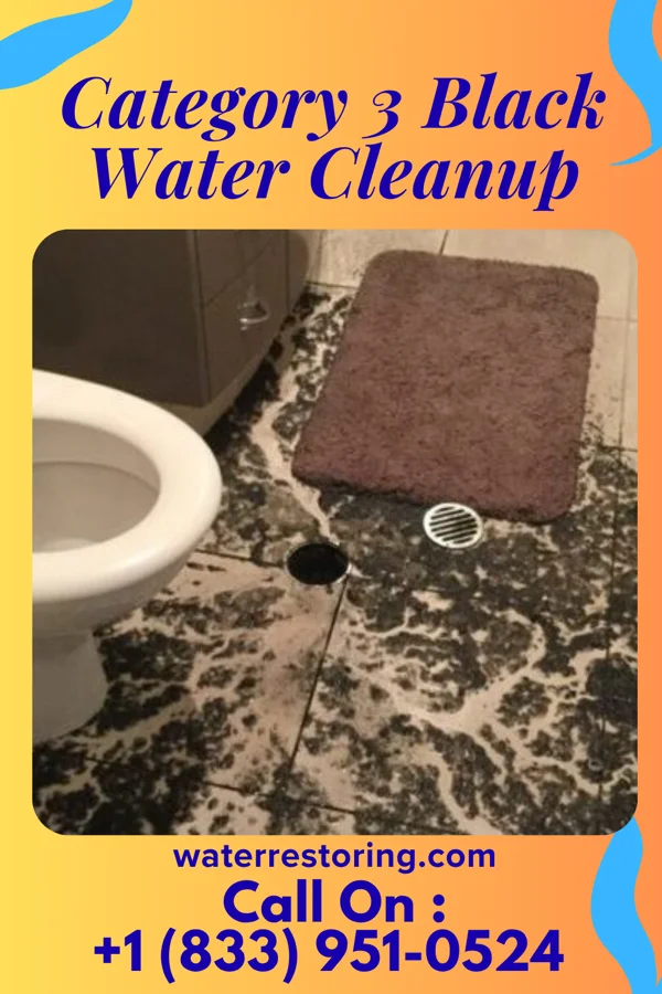 Category 3 Black Water Cleanup in South Charleston, WV