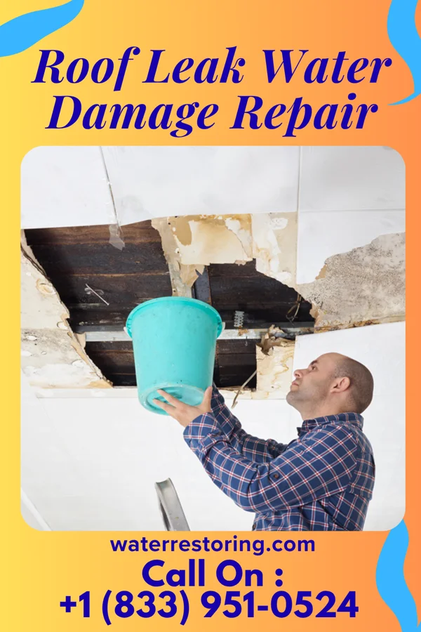 Roof Leak Water Damage Repair in South Charleston, WV