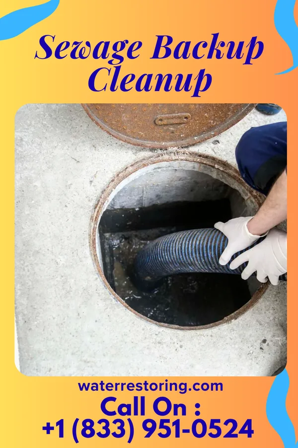 Sewage Backup Cleanup in South Charleston, WV