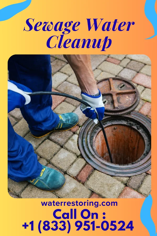 Sewage Water Cleanup in South Charleston, WV