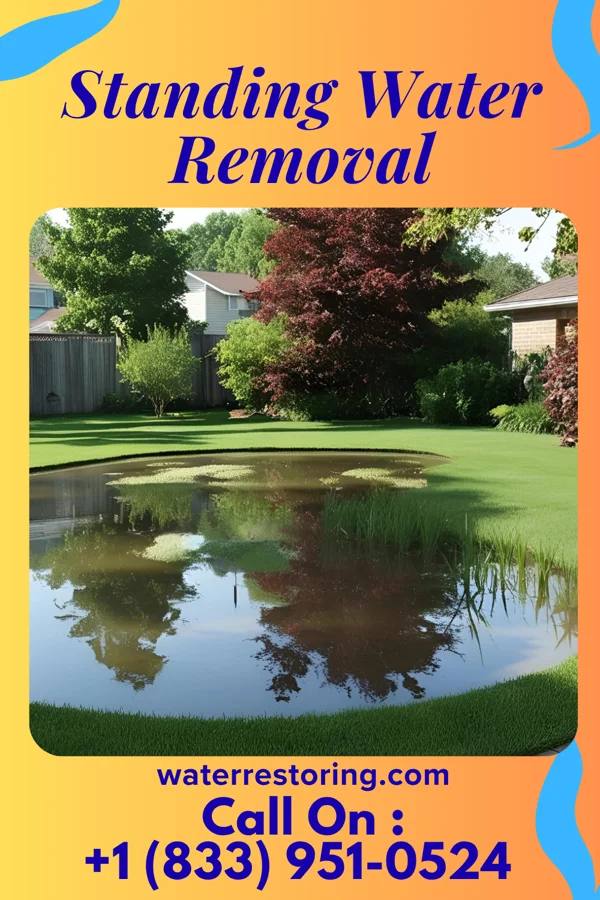 Standing Water Removal in South Charleston, WV